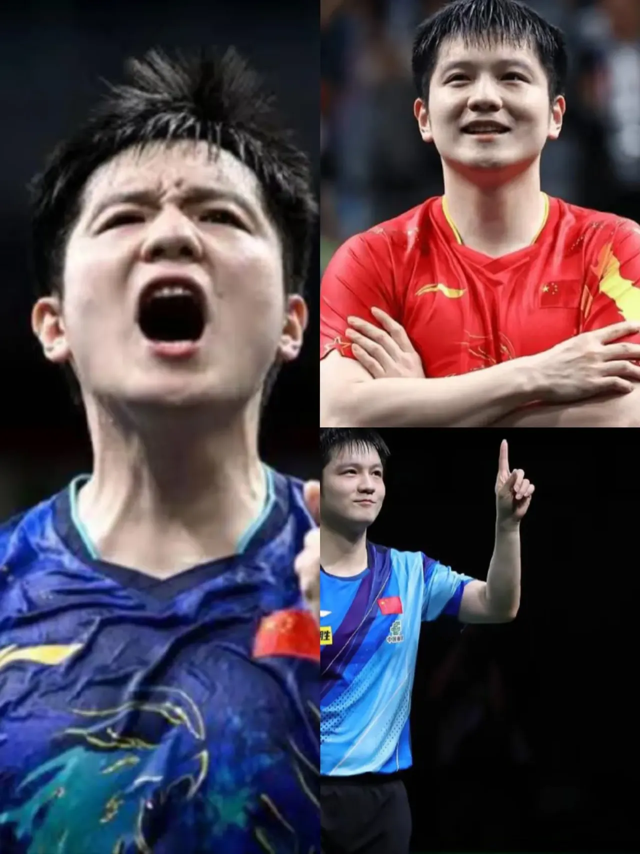 法国乒乓球队力克韩国乒乓球队，樊振东爆发神勇的简单介绍
