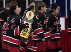 终极之夜！冰球冠军悬念即将揭晓