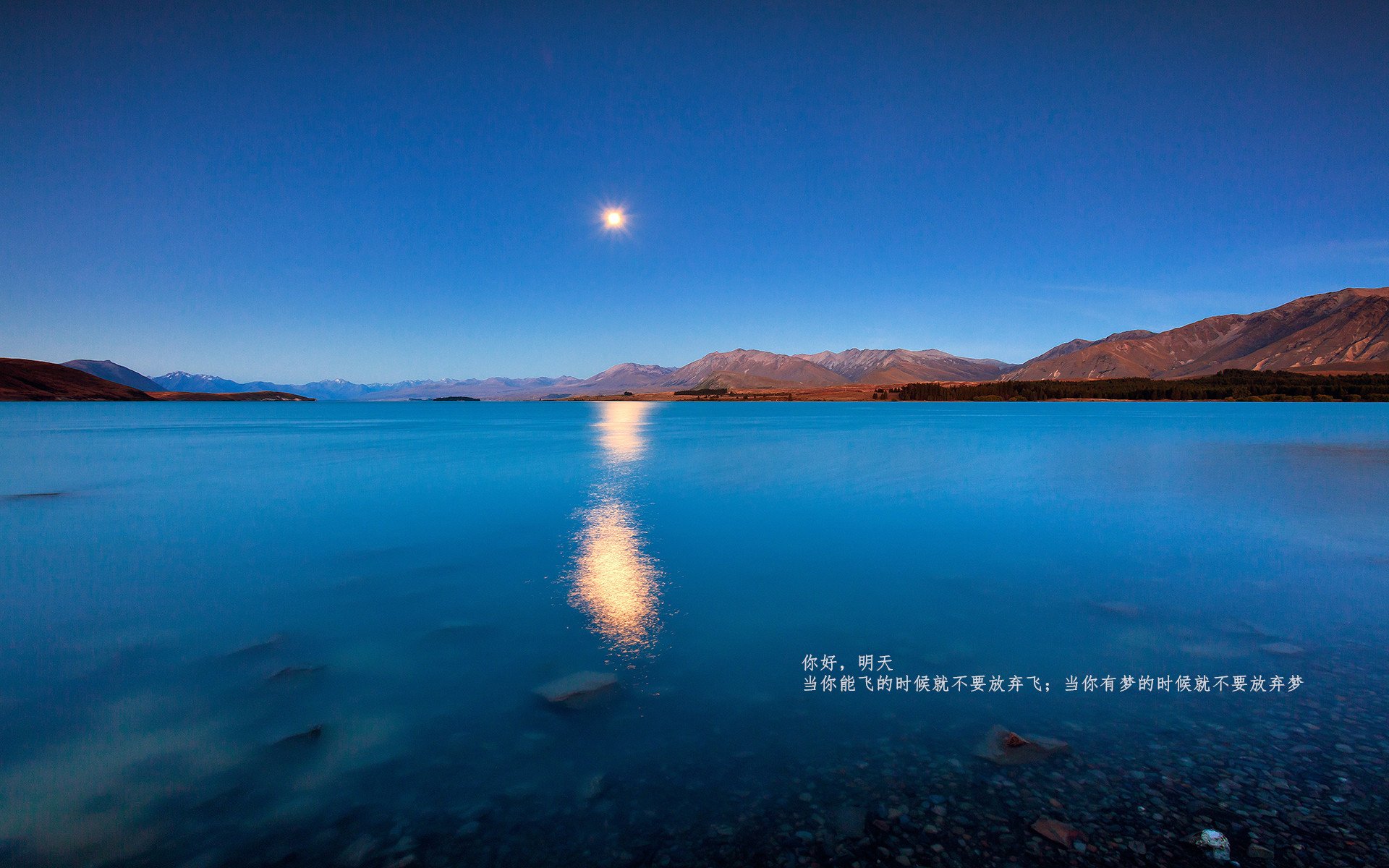 当德意志灵魂注入黑白间条衫,欧冠决赛夜,穆勒的叛逃绝杀