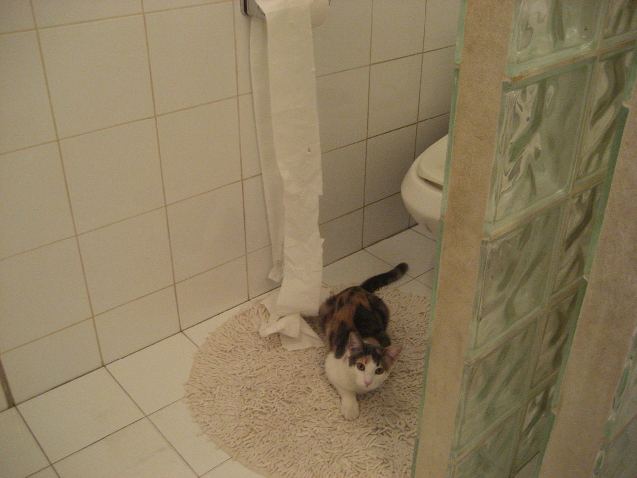 悬！许昕致命漏洞被德国人锁定，他却笑着统治了地狱战场