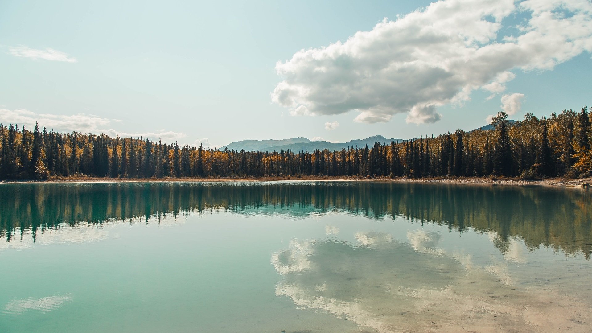 沙漠风暴吞噬咖啡军团,一场非典型的沙特式胜利