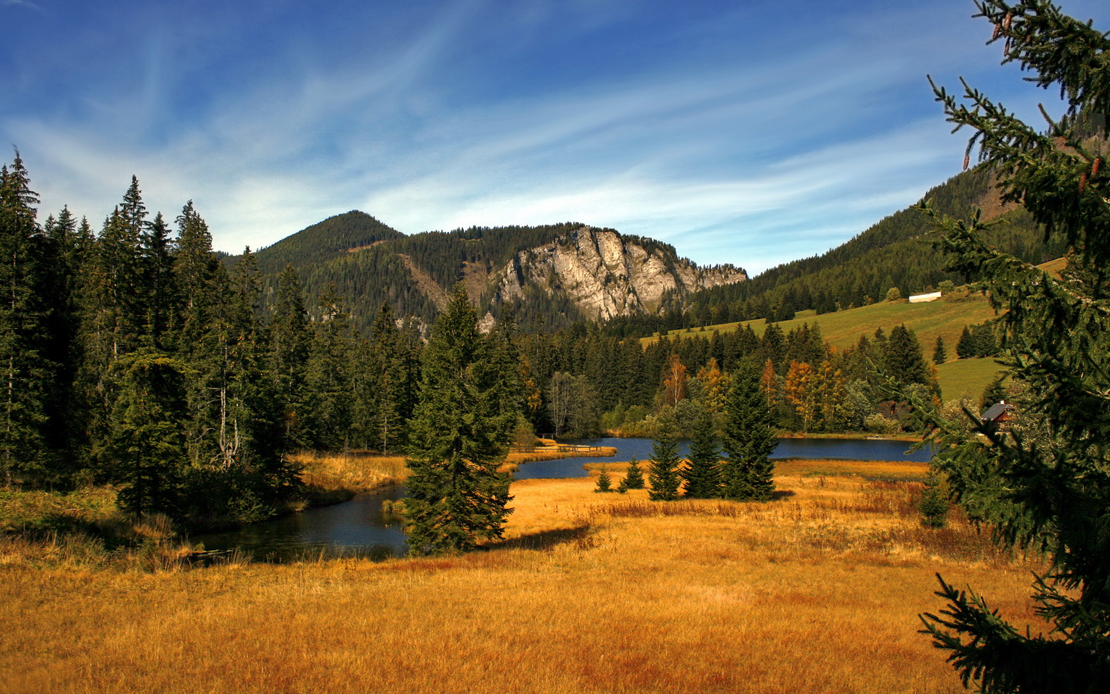 草根英雄一夜封神,无名之辈巴斯托尼末节摧毁比利时黄金一代