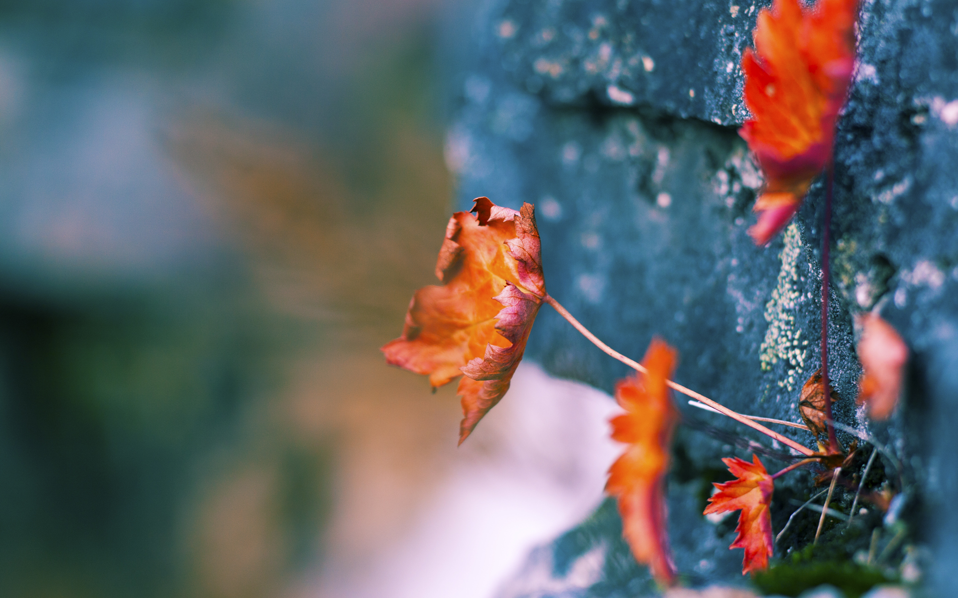 篮球世界排名争夺战,哈登用冠军模式完成认证,篮网一波流摧毁鹈鹕