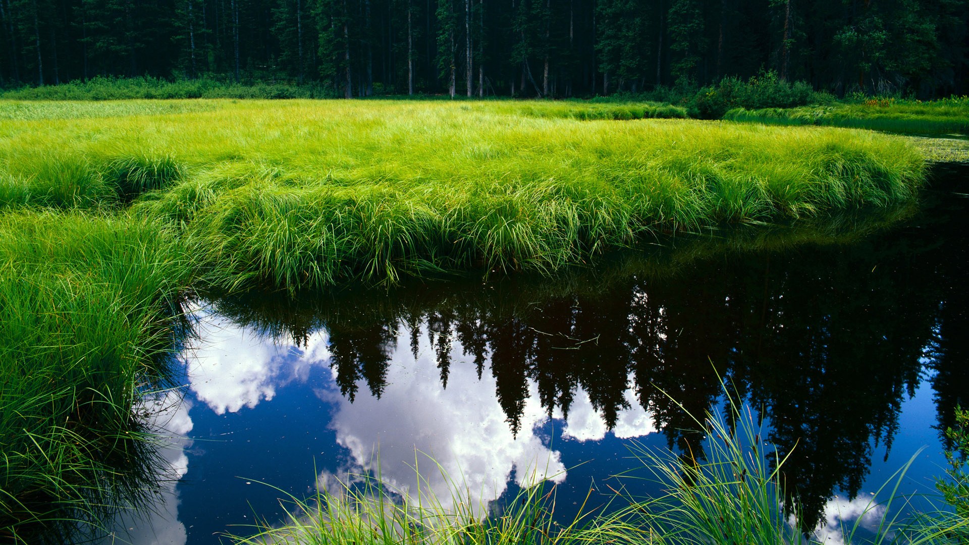奥纳纳神级扑救一波带走雷恩，几内亚凭此役搅动世界排名争夺战