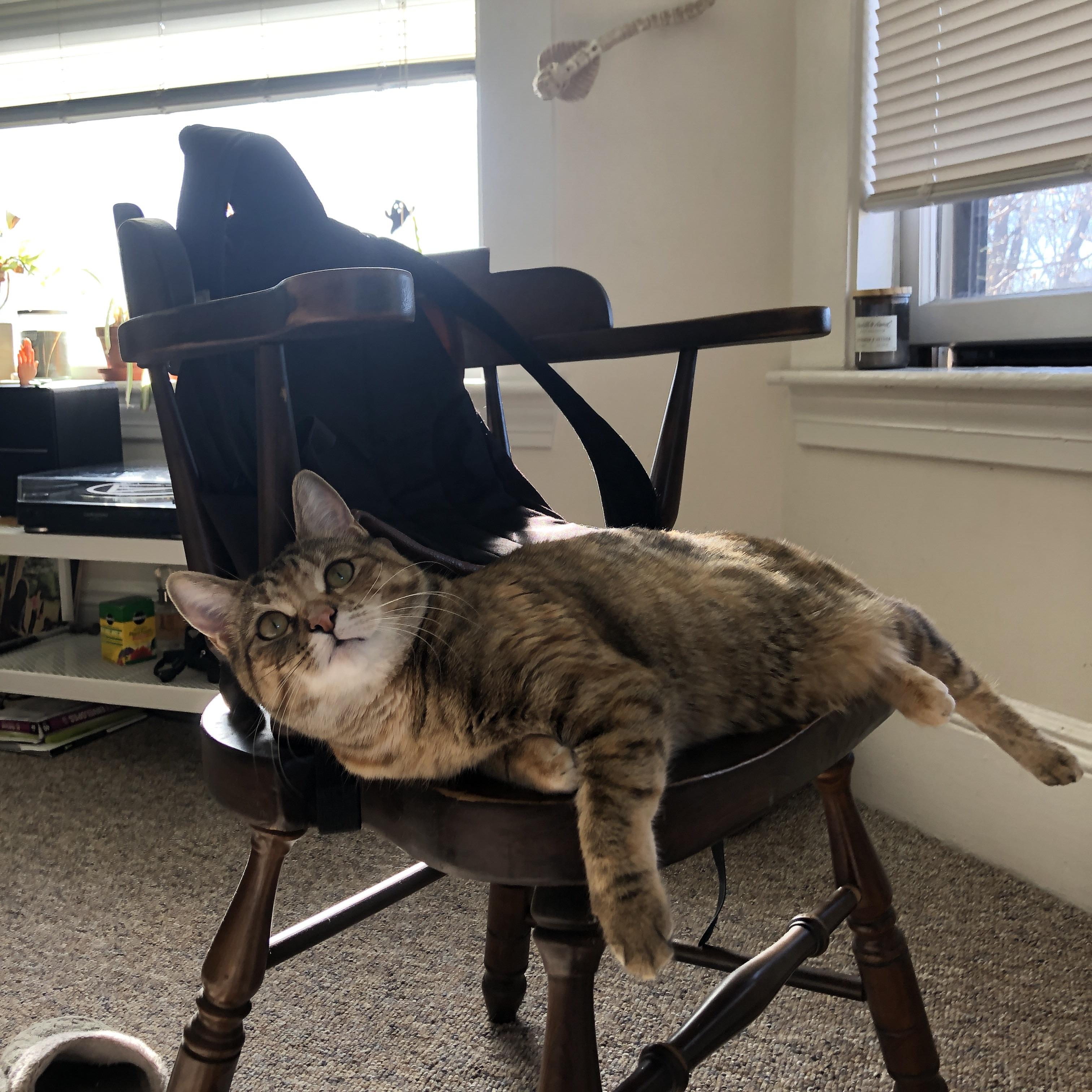 狂飙与孤胆英雄,当一波流淹没单骑救主