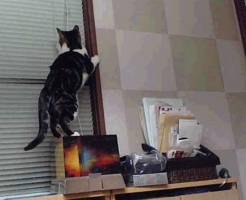 不可复刻的夜晚,那场火箭血拼马刺,在决战之城烙下最后的印记