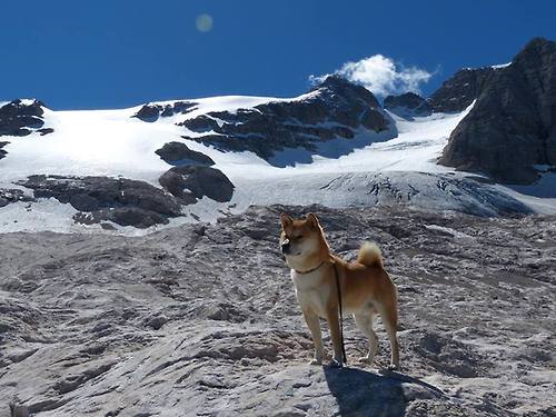 时间的魔法,从美加墨世界杯到湖人单节狂飙—体育史上那些不可复制的瞬间
