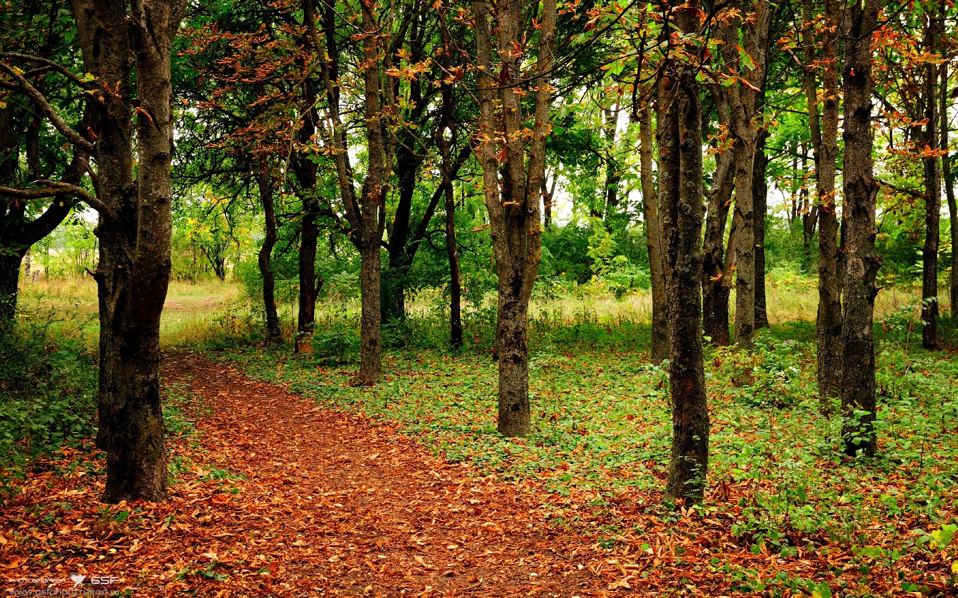 篮球场上的欧洲足球战，当NBA季后赛遇见克罗地亚速胜瑞士的智慧
