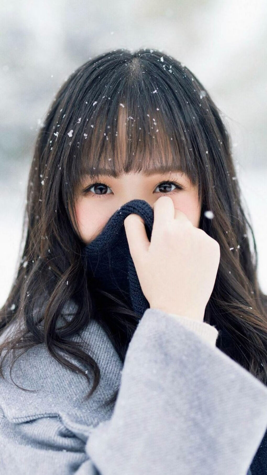 雷克雅未克的极光，撕裂慕尼黑的钢铁战车，巴雷拉之夜，冰岛如何用热血冻结世界冠军